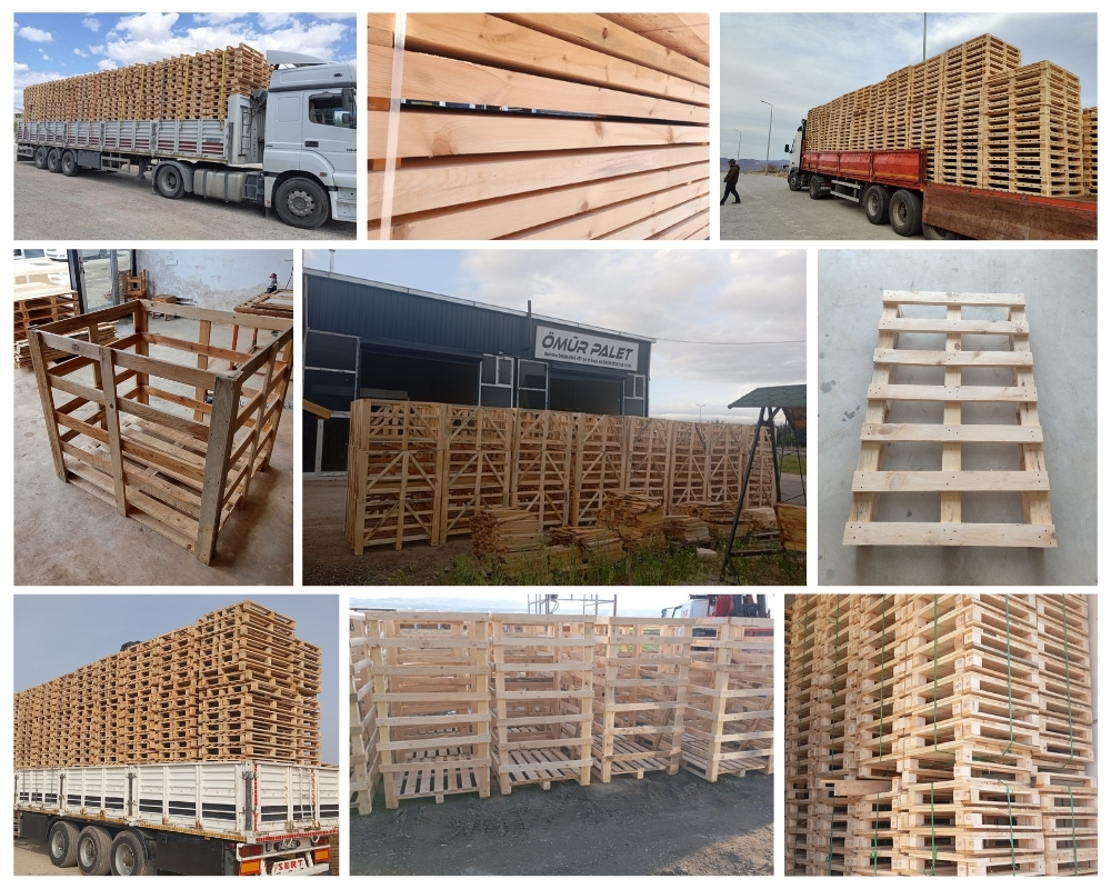 Bergues Palette Europe, Acheter des palettes en gros